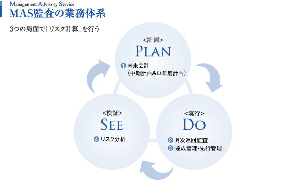 MAS監査の業務体系